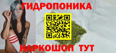 таблы Кингисепп
