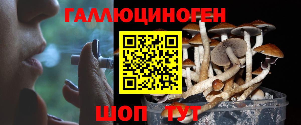 Алапаевск  Галлюциногенные грибы Magic Shrooms  Вход с VPN  Псилоцибиновые грибы Magic Shrooms 