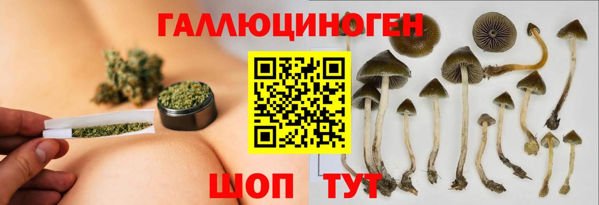 Псилоцибиновые грибы мицелий Алапаевск